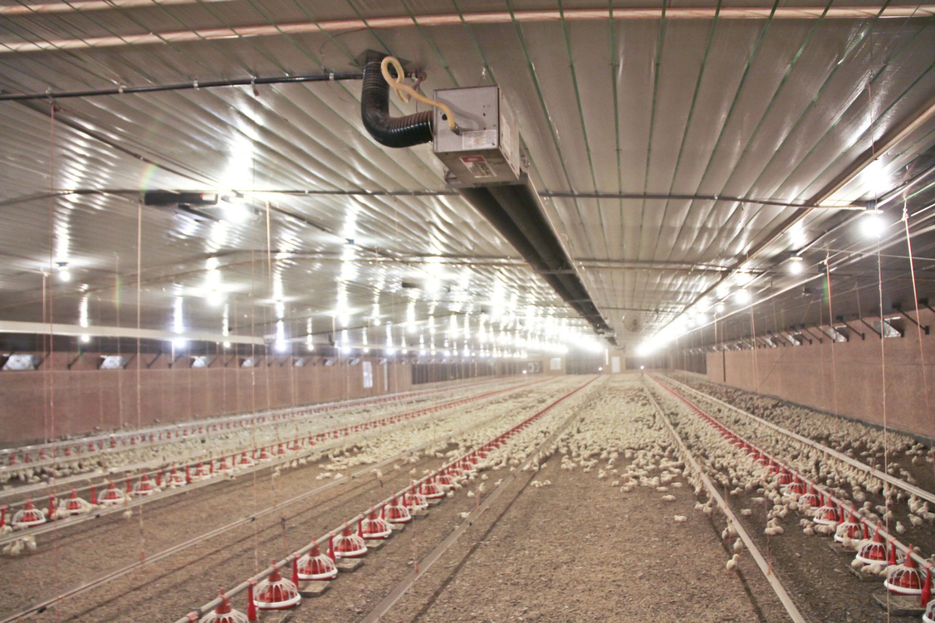 Radianttube heater